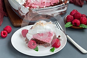 Piece of baked Alaska with chocolate sponge cake, raspberry ice