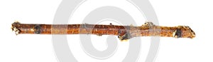 A piece of birch twigs on a white isolated background