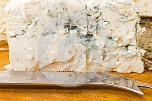 Piece of blue cheese with blue-grey mold close-up