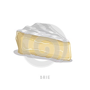 Piece of brie cheese. Cartoon flat style cheese segment. Fresh dairy product. Vector illustration single icon