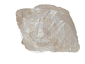 A piece of bubble-bursting plastic protective cellophane for packaging, isolated on a white background