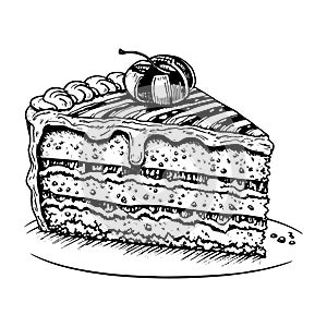 Piece of cake - Hand Drawn Sketch on white background