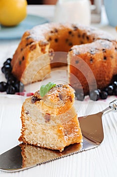 Piece of cake with raisins close-up