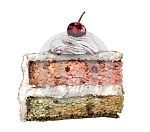 A piece of cake with two cakes soaked in cream with whipped cream and cherry on top