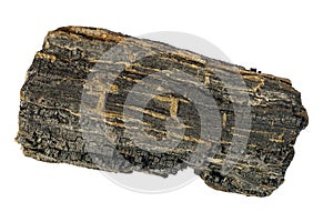 Piece of carbonized wood from Isle of Wight