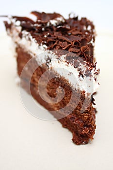 Piece of Chocolate Cake