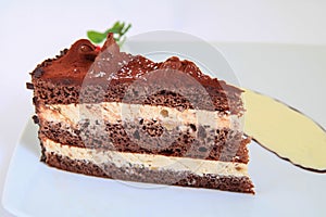 Piece of chocolate cake with decoration on white plate