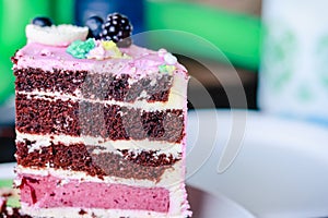 Piece of chocolate cake with pink cream