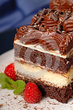A piece of chocolate layer cake