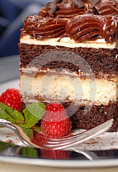 Piece of chocolate layer cake with fudge f