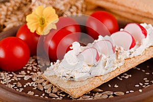 Piece of crispy bread with curd cheese and radish