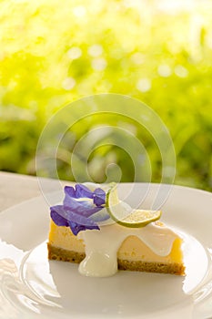 A piece of delicious lemon cheese pie on white plate with green garden background.