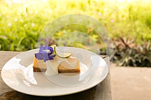 A piece of delicious lemon cheese pie on white plate with green garden background.