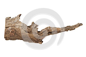 Piece of driftwood driftwood isolated on white background.