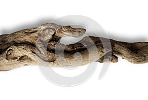 Piece of driftwood over white background