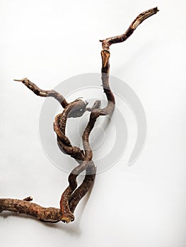 Piece of driftwood over white background