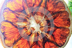 A piece of dry orange on the Xmas tree