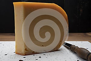 Piece of Dutch Gouda cheese ade from cow milk