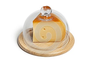 Piece of Dutch Gouda cheese covered with a glass hood