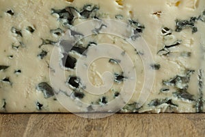 Piece of French Bleu d`auvergne cheese