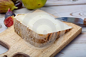 Piece of French cheese Tomme de Brebis made from sheep milk served as dessert with fresh figs and pears