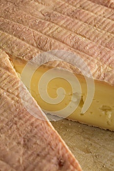 Piece of French Munster cheese closeup photo