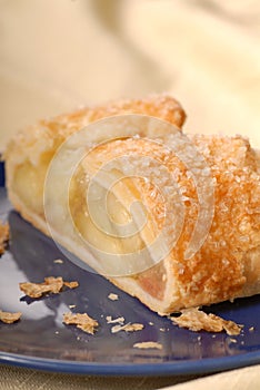Piece of fresh apple strudel with a flaky crust