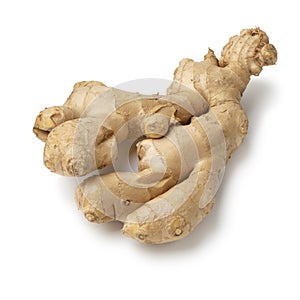 Piece of fresh ginger rhizome on white background close up