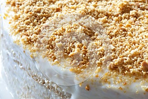 Piece of fresh honey cake