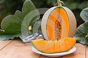 piece of fresh orange melon on the plate