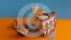 Piece of fruit cake, chestnut peel on an orange-blue background.