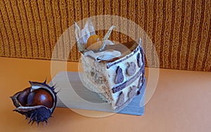 Piece of fruit cake, fruits of chestnut on orange background