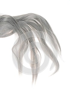 Piece of grey weft hair