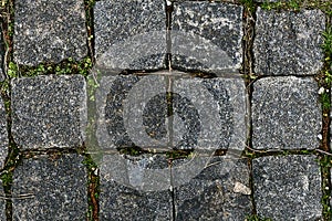 Paving stones. Paved pavement with sprouted green grass on a warm sunny day