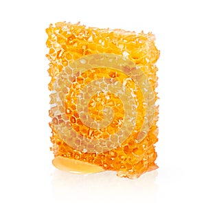 Piece of honeycomb on white background