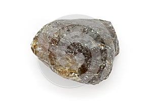 Piece of Indian frankincense (Boswellia serrata). photo