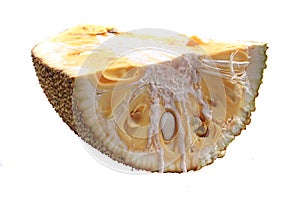 piece of jackfruit isolated