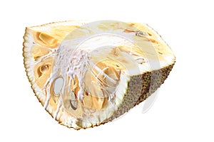 piece of jackfruit isolated
