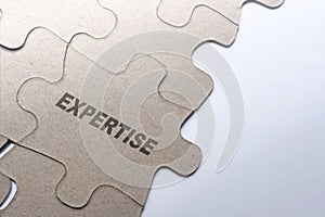 Piece of jigsaw puzzle with Expertise text