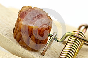 Piece of kabanosa meat lying on a pawl in a mousetrap, isolated on a white background. photo