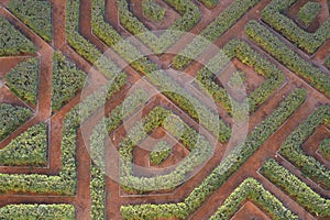 piece of labyrinth