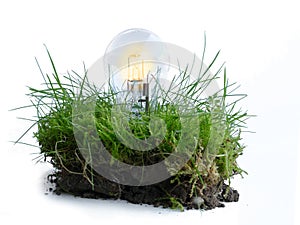 piece of lawn with light bulb, ecological energy