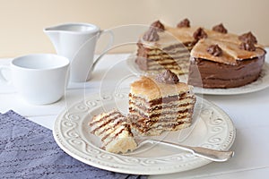 Piece of layered cake (Dobosh Hungarian cake)