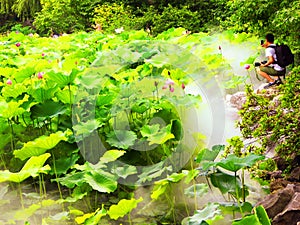 A piece of Lotus Pond inside Guyi garden