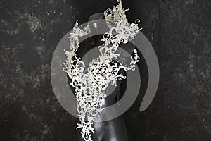 Piece made with 3d printer, is composed of white flowers that form a corset, handmade, fantasy design Baroque style