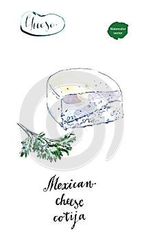 Piece of Mexican cotija cheese with cilantro in watercolor