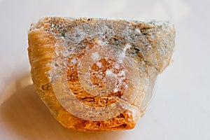 Piece of moldy bread on light background. Food not suitable for consumption