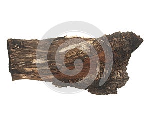 Piece of old rotten wood bark isolated on a white background