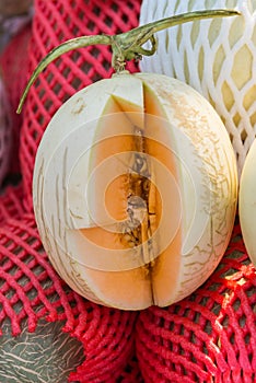 Piece of orange cantaloupe cutted for test taste