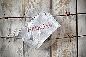 Piece of paper with freedom text on barbed wire on wooden wall